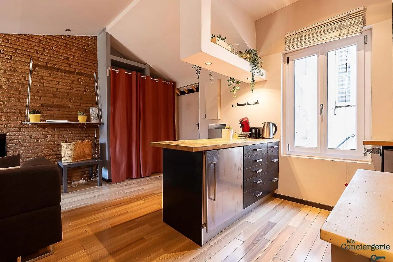 Filatiers 10 - Hypercentre Carmes - Metro Apartment Toulouse 0*,  France